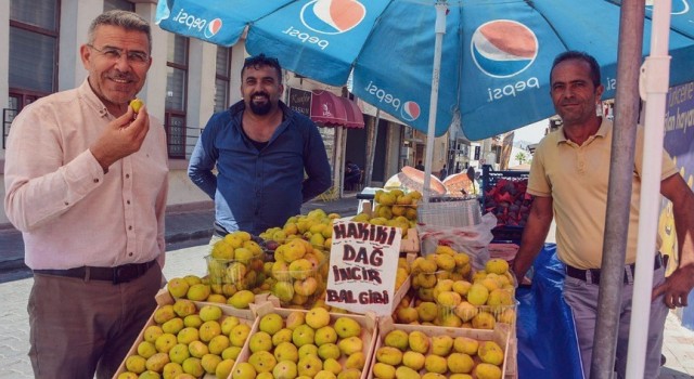 Başkan Güler; ”Yeni incir sezonu üreticilerimize bereketli olsun”