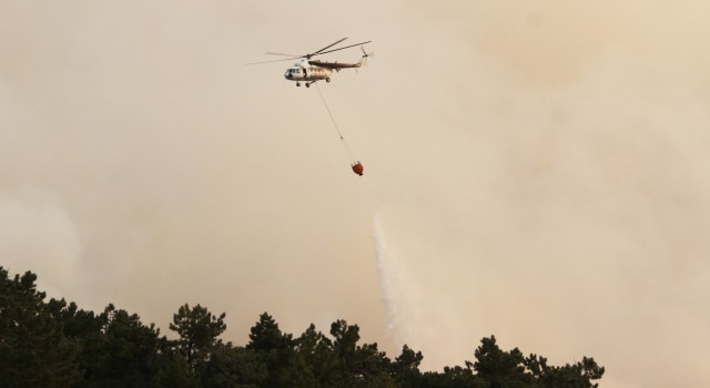 Çine’deki orman yangınına 12 helikopter ile müdahale ediliyor