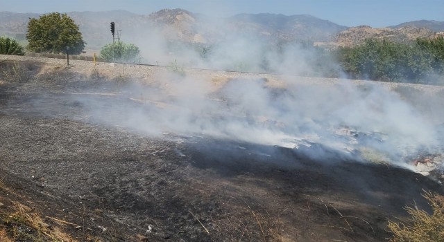 Proje çalışması için depolanan zeytin yaprakları yandı