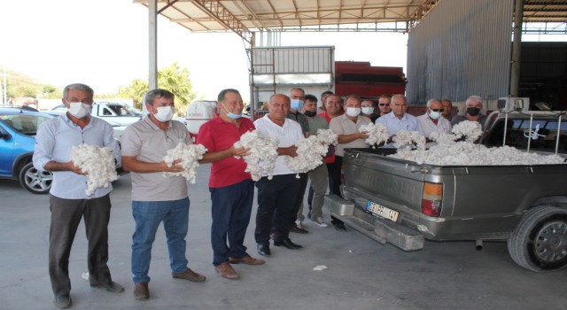 Söke’de sezonun ilk pamuk hasadı gerçekleştirildi