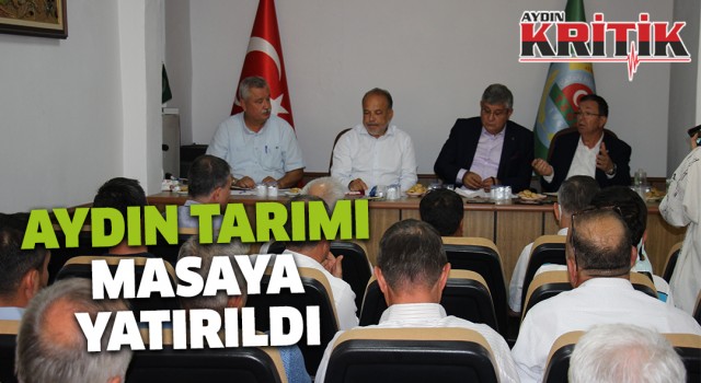 Aydın tarımı masaya yatırıldı