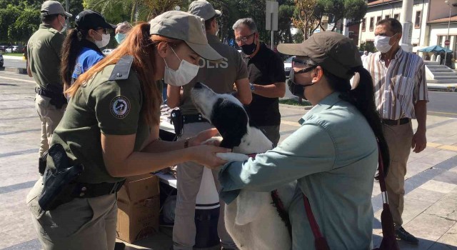 Can dostlar Aydın’da güvende