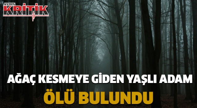 Ağaç kesmeye giden yaşlı adam ölü bulundu