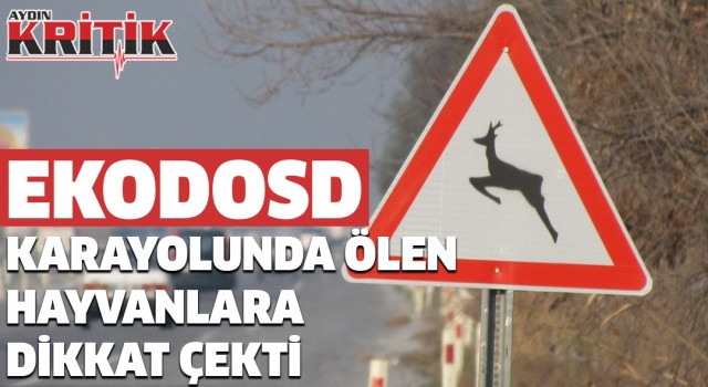 EKODOSD, karayolunda ölen hayvanlarına dikkat çekti