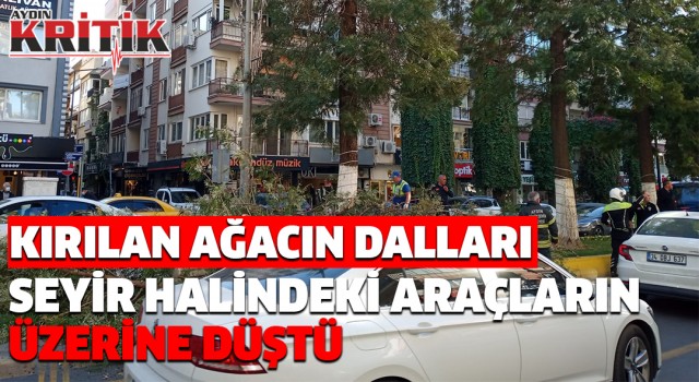 Kırılan ağacın dalları seyir halindeki araçların üzerine düştü