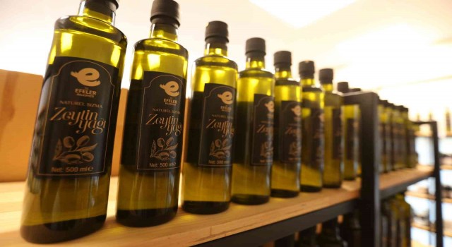 Başkan Atay, Efeler’in sokaklarındaki zeytin ağaçlarını ekonomiye kazandırdı