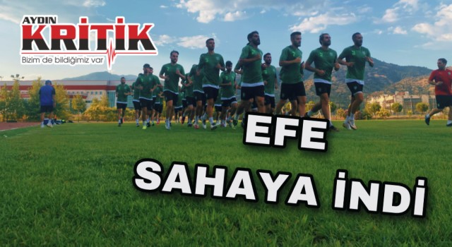 Efe sahaya indi