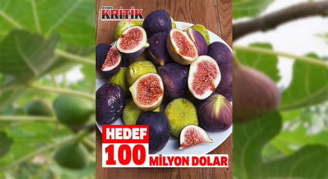 Taze incir ihracatında hedef 100 milyon dolar