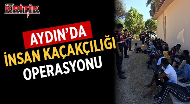 Aydın'da insan kaçakçılığı operasyonu