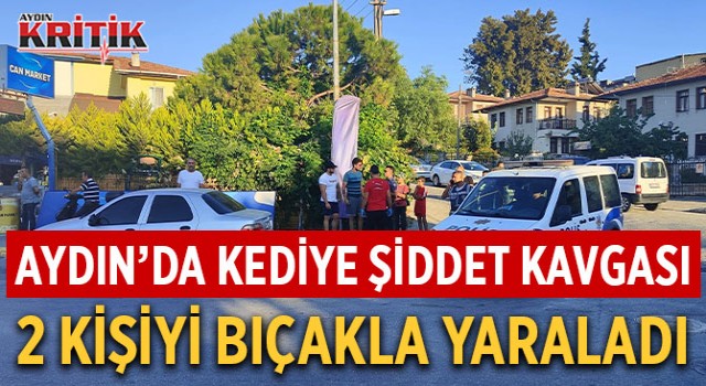 Aydın'da kediye şiddet kavgası 2 kişiyi bıçakla yaraladı