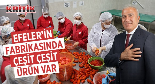 Efeler'in fabrikasında çeşit çeşit ürün var