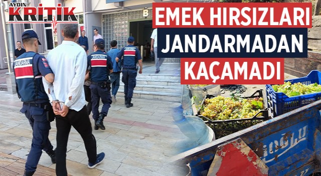 Emek hırsızları Jandarmadan kaçamadı