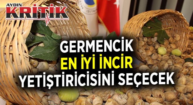 Germencik En İyi İncir Yetiştiricisini Seçecek