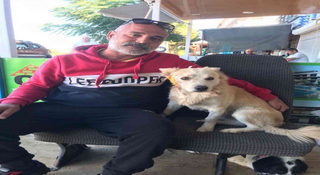 Köpeği önce çaldı, sonra zarar verdi