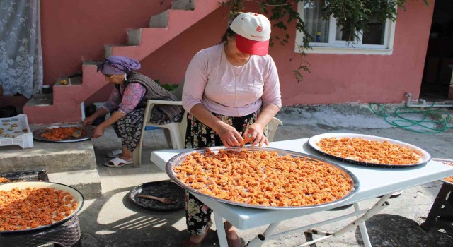 Aydın’ın mutfakları kışa hazırlanıyor