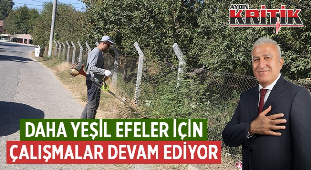 DAHA YEŞİL EFELER İÇİN ÇALIŞMALAR DEVAM EDİYOR