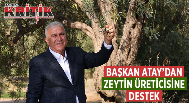 Başkan Atay'dan zeytin üreticisine destek