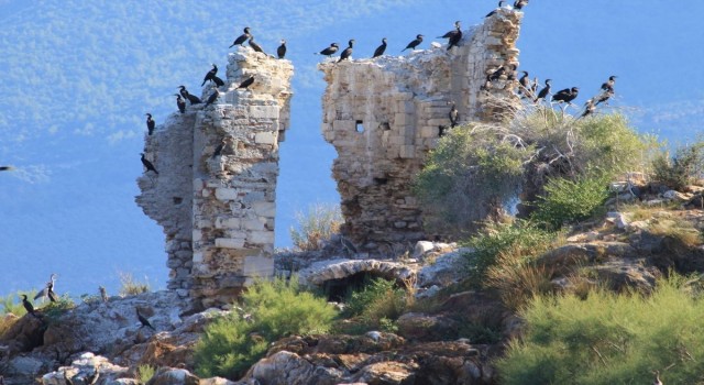 Uygarlıklar Kavşağı Aydın, tarihe ev sahipliği yapmaya devam ediyor