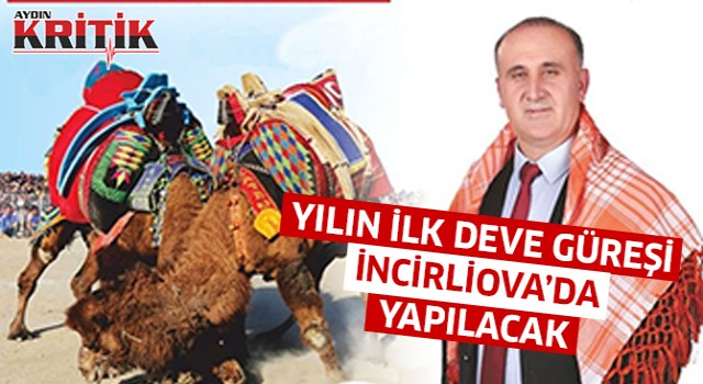 Yeni yılın ilk deve güreşi İncirliova’da yapılacak