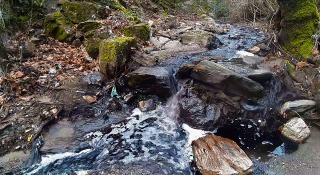 ”Aydın’ın dağlarından yağ, derelerinden kara sular akmaya başladı”