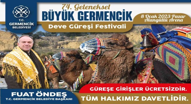 Germencik’te deve güreşi hazırlıkları sürüyor