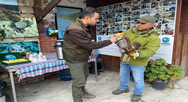 Gökyüzünün efendisi, yaralı halde bulundu