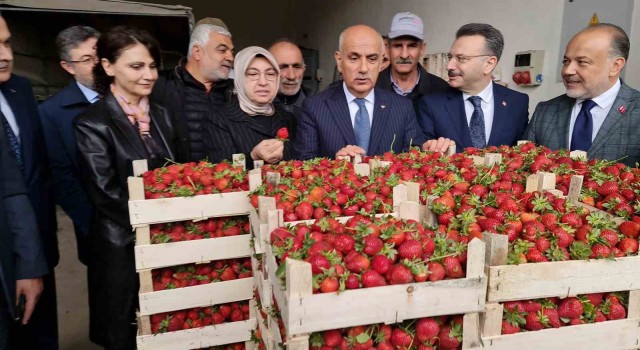 Tarım ve Orman Bakanı Kirişci: ”Örtü altı sera alanı 811 bin dekara çıktı”