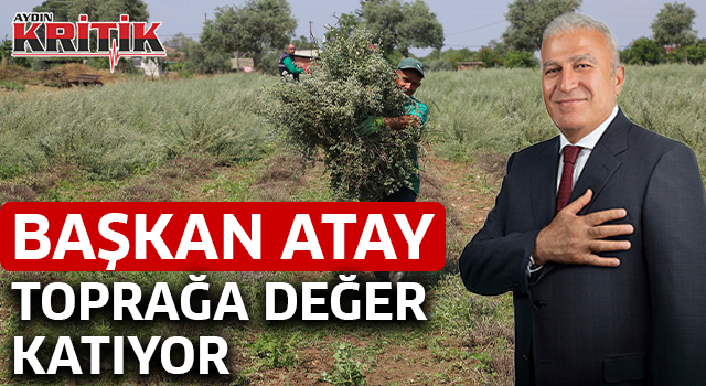 Başkan Atay, toprağa değer katıyor