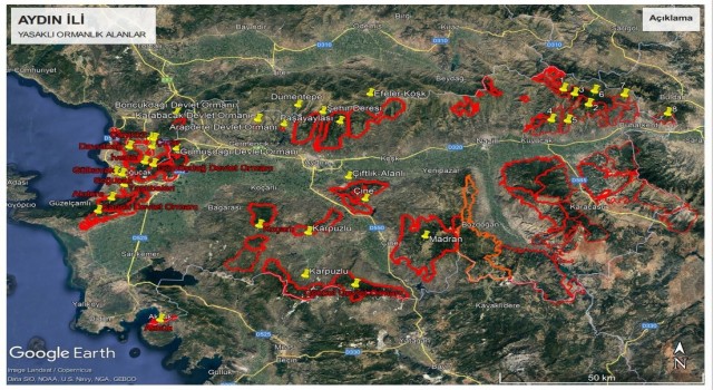 Aydın’da ormanlık alanlara izinsiz girilemeyecek