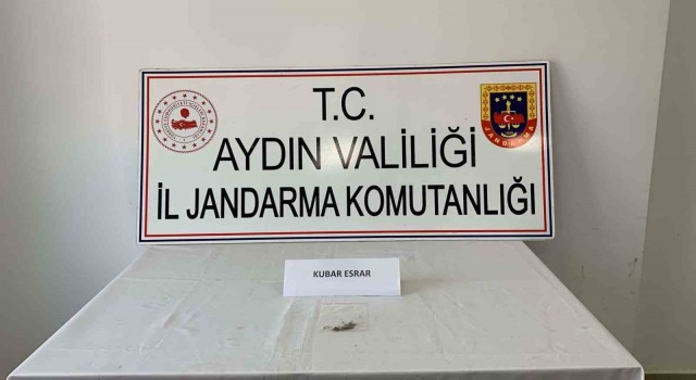 Aydın'da uyuşturucu operasyonu: 7 yakalama