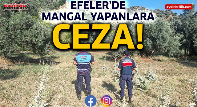 Efeler’de mangal yapanlara ceza!
