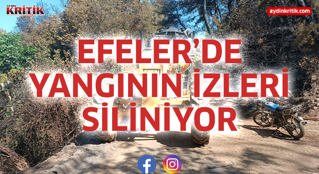 Efeler’de Yangının İzleri Siliniyor