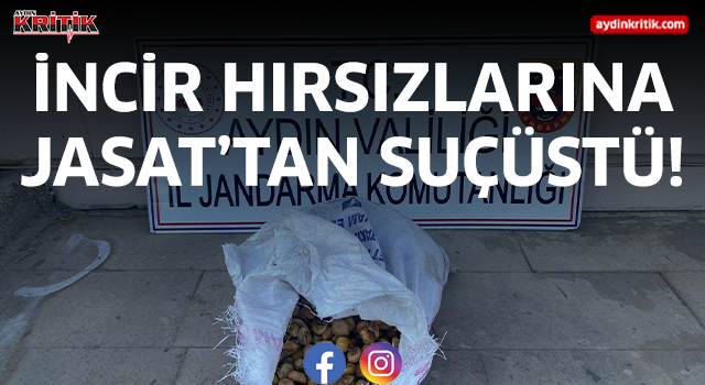 İncir hırsızlarına JASAT’tan suçüstü!