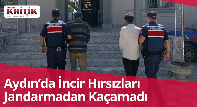Aydın’da İncir Hırsızları Jandarmadan Kaçamadı