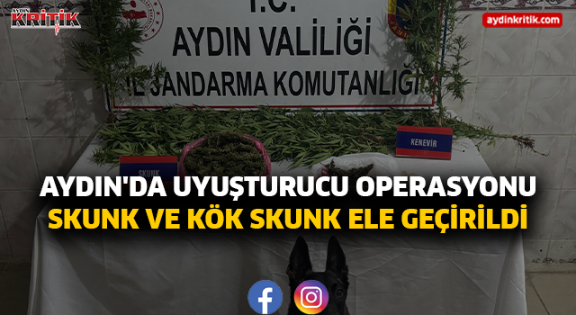 Aydın'da Uyuşturucu Operasyonu: 498 Gram Skunk ve 17 Kök Skunk Ele Geçirildi