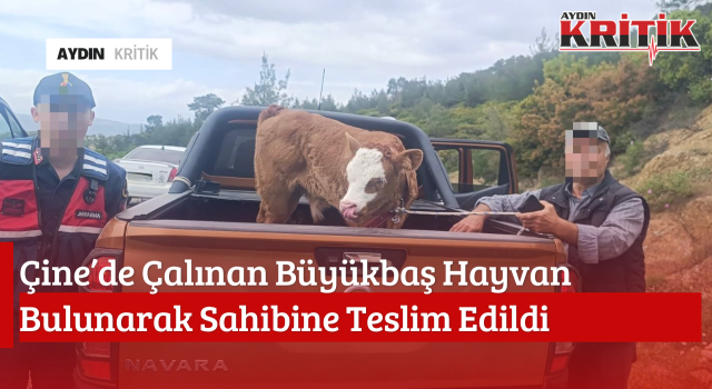 Çine’de Çalınan Büyükbaş Hayvan Bulunarak Sahibine Teslim Edildi