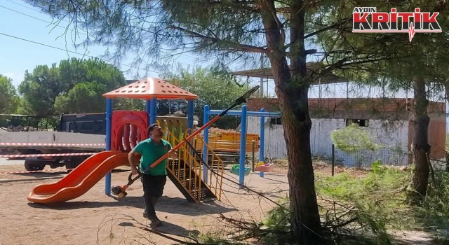 Efeler’de yeşil alanlara kapsamlı bakım
