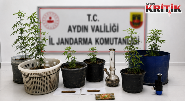 Kuşadası’nda Uyuşturucu Operasyonu: 6 Kök Skunk Ele Geçirildi