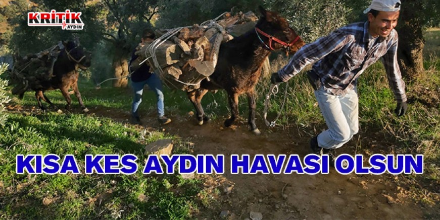 Kısa kes Aydın havası olsun