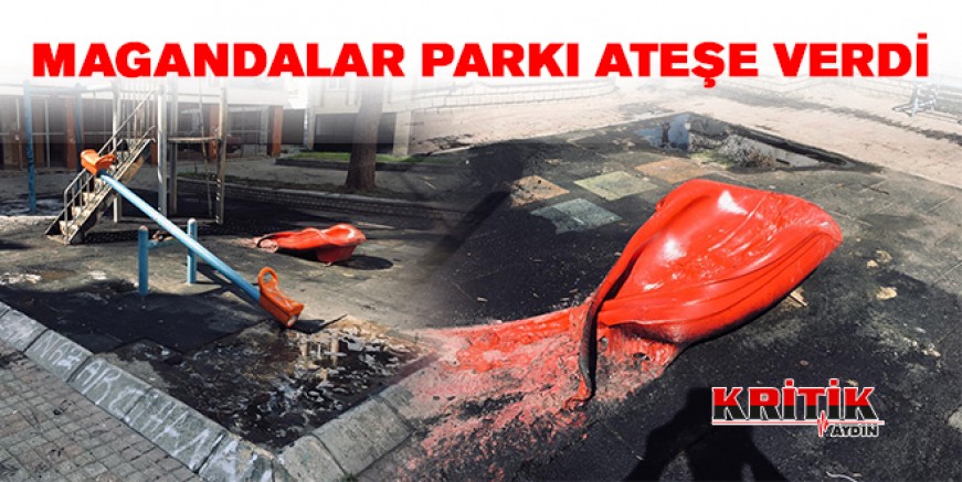 Magandalar parkı ateşe verdi