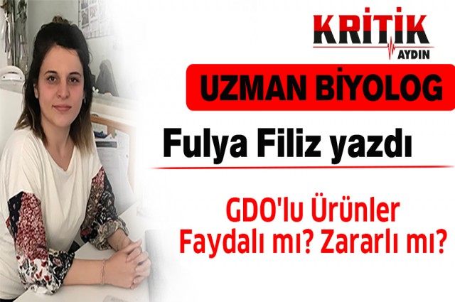 GDO'lu Ürünler Faydalı mı? Zararlı mı?