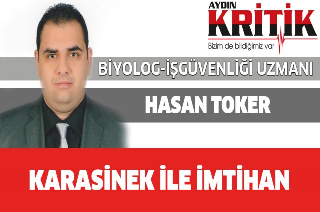 KARASİNEK İLE İMTİHAN