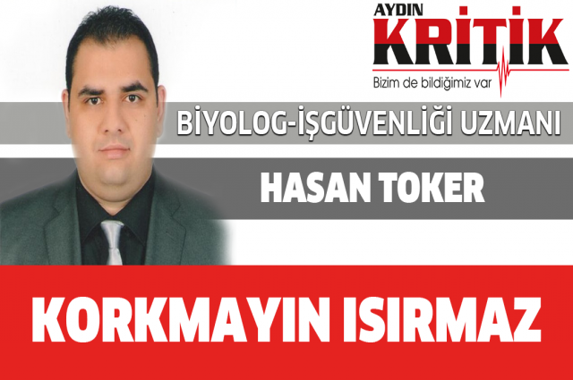 Hasan Toker Yazdı. Korkmayın Isırmaz