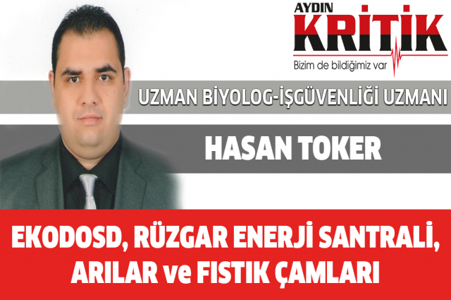 EKODOSD, RÜZGAR ENERJİ SANTRALİ, ARILAR ve FISTIK ÇAMLARI