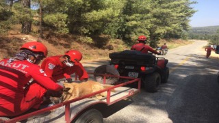 AKUT, Muğla’dan sonra Aydın Çine’de orman yangınlarına müdahale için operasyonda