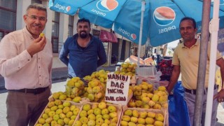 Başkan Güler; ”Yeni incir sezonu üreticilerimize bereketli olsun”