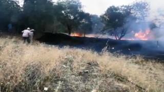 Nazilli’de zirai alanda yangın çıktı
