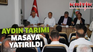 Aydın tarımı masaya yatırıldı