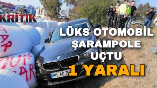 Lüks otomobil şarampole uçtu: 1 yaralı