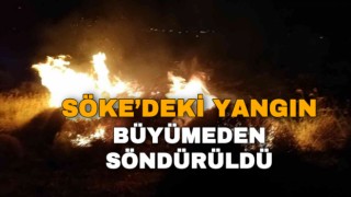 Söke’deki yangın büyümeden söndürüldü